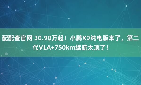 配配查官网 30.98万起！小鹏X9纯电版来了，第二代VLA+750km续航太顶了！